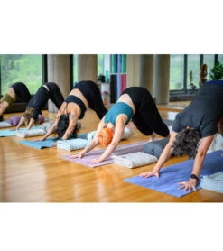 Hugger Mugger Para Rubber Grip Yoga Mat 70" 5mm Extra Thick -Yoga Balance 1740051873827 lotus 4a