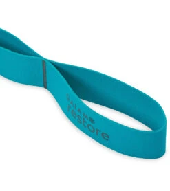 Front Page 41 Gaiam Restore Resistance Band Stretch Strap
